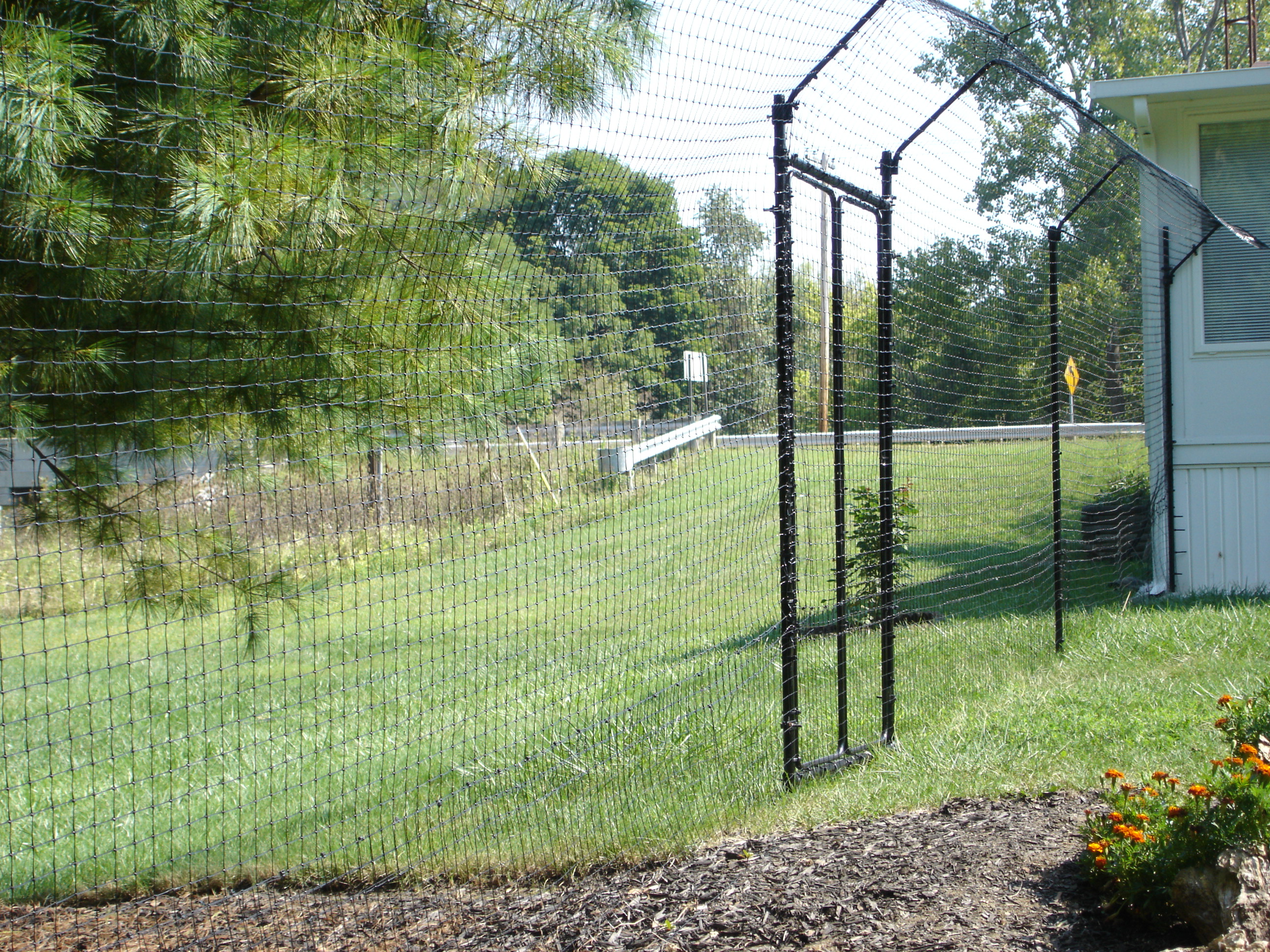 Original Cat Fence